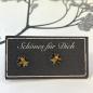 Preview: Sparkling stud earrings with star in gold black