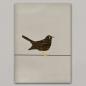 Preview: Amsel - A4 Print Kunstdruck Poster auf Karton