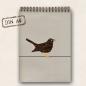 Preview: DIN A4 Buch Amsel - Bindung oben