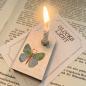 Preview: Schachtellicht Schmetterling