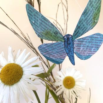 Bastelkarte Schmetterling