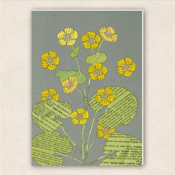 fette Karte - Sumpfdotterblume