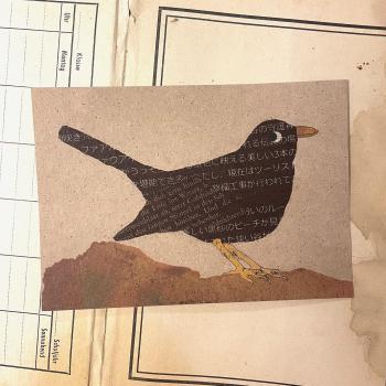 Postkarte Amsel