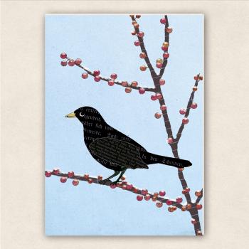 fette Karte - Amsel