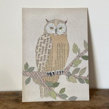 Owl - print poster art print A4 on cardboard - Kopie