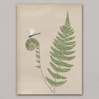 Dragonfly and fern - print poster art print A4 on cardboard