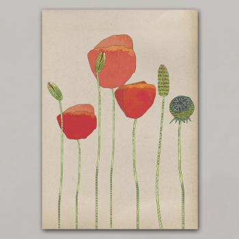 Poppy - print poster art print A4 on cardboard