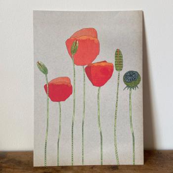 Mohn - A4 Print Kunstdruck Poster auf Karton