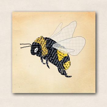Magnet mit Hummel