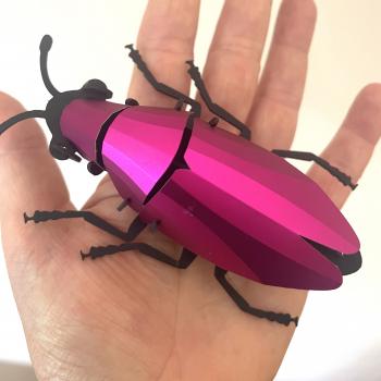 Juwelkäfer pink - Papierinsekt von Assembli