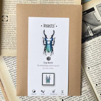 Hirschkäfer blau - Papierinsekt von Assembli