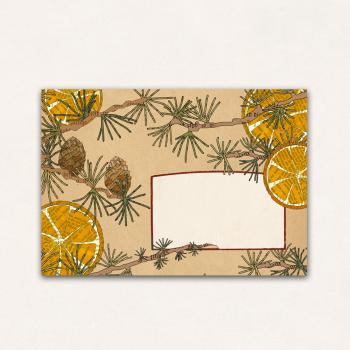 Preview: Doppelkarte Fröhliche Weihnachten mit Orangen