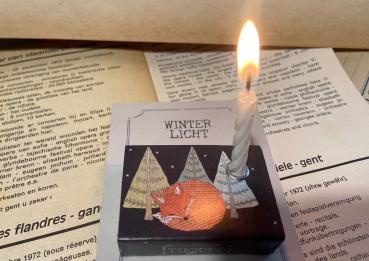 Schachtellicht Winterfuchs