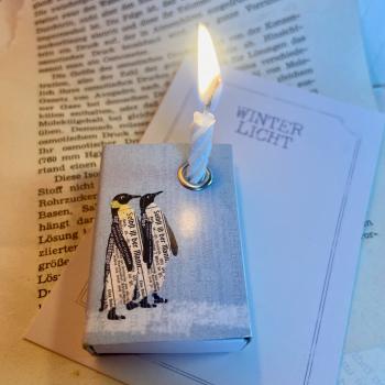 Schachtellicht Pinguine