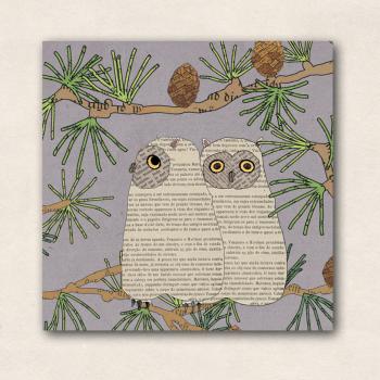 little magnet - owlet