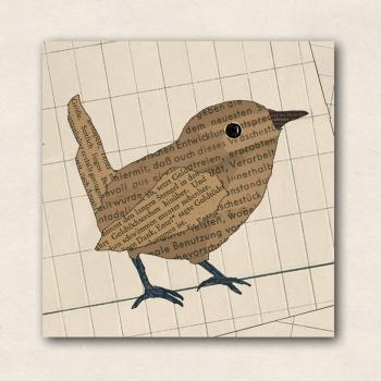 little magnet  - Wren