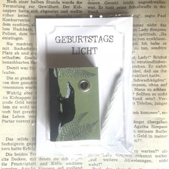 Schachtellicht Dachs