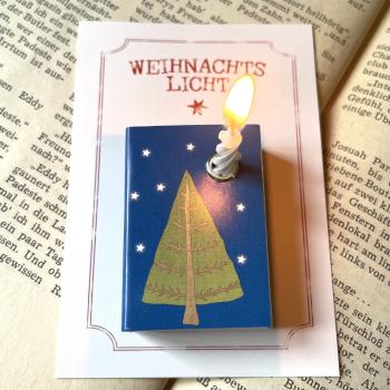 Schachtellicht Tannenbaum