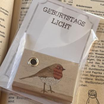 Preview: Schachtellicht Rotkehlchen