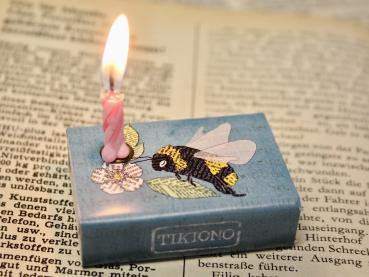 Schachtellicht Hummel