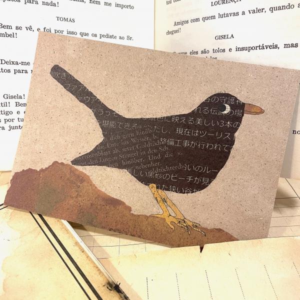 Postkarte Amsel