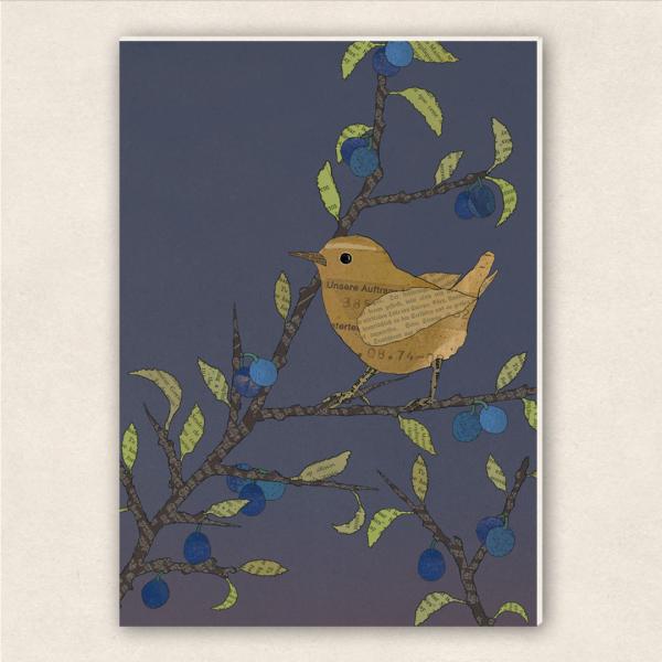 wood pulp cardboard - Wren