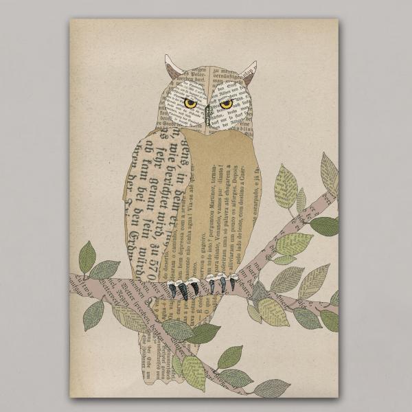 Owl - print poster art print A4 on cardboard - Kopie