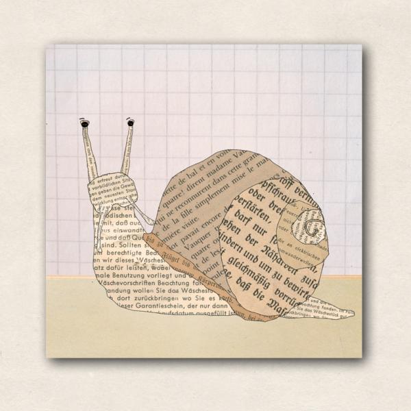little magnet for all smooth, magnetic surfaces - snail