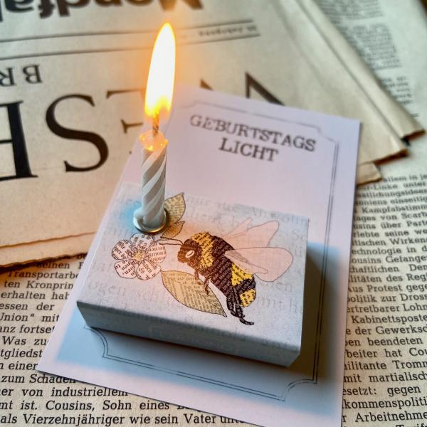 Schachtellicht Hummel