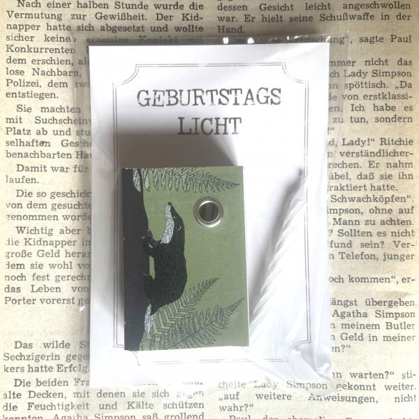 Schachtellicht Dachs