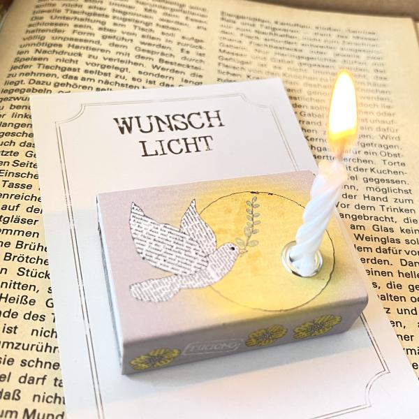 light on a box - Dove