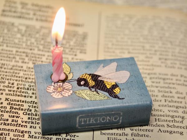 Schachtellicht Hummel