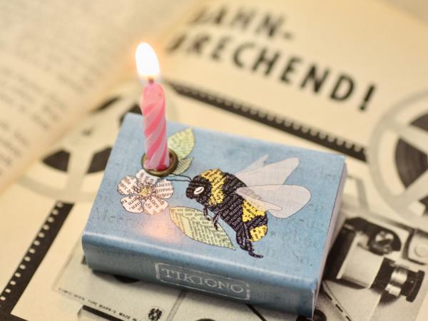 Schachtellicht Hummel